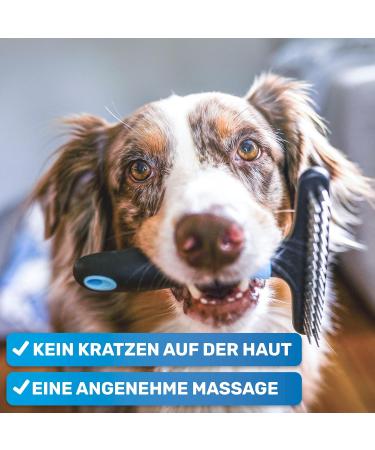 Bluepet Gloss Dance Fur Tubular De-Tunnel for Long Hair Dogs & Cats | High-Quality Dog Brushes with Dual Rows of Pins - Effortlessly Solves Knots & Matts - Buy Online on GoSupps.com