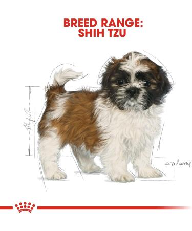 Royal Canin Shih Tzu Puppy | 1.5 kg | Dry food for Shih Tzu puppies | To support the coat and digestion | For dogs up to 10 months old - Buy Online on GoSupps.com