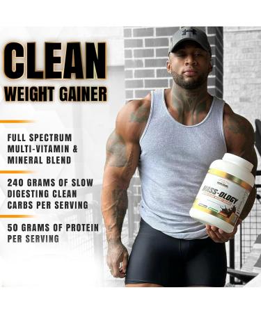 Weight Gainer Whey Protein Powder - Muscle Builder for Men & Women - Chocolate Flavor 6 lbs | International Shipping Available - Buy Online on GoSupps.com