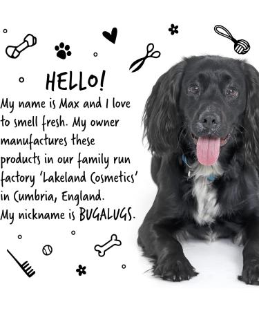 BUGALUGS Dog Conditioner 500ml with Lavender & Chamomile dog perfume best grooming Conditioner for dogs puppy & smelly pet that detangles & moisturises use with dog shampoo cologne - Buy Online on GoSupps.com