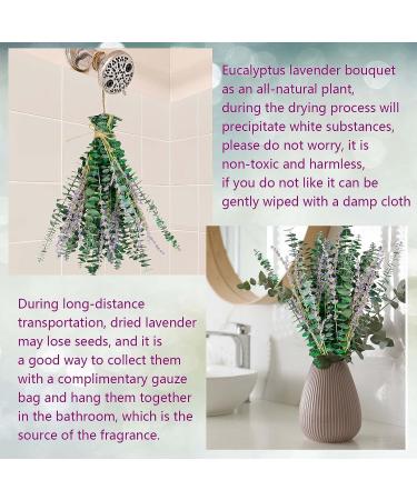 80 Pcs Mix Dried Eucalyptus & Lavender Flower Bundles for Shower - 100% Natural | Fresh Eucalyptus Leaves Stems | Hanging Shower Plant, Home Spa Decor - Buy Online on GoSupps.com