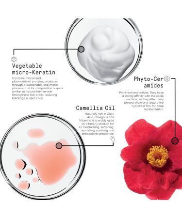 Framesi | New Morphosis Hair Treatment Line | Repair Conditioner 250ml - Buy Online on GoSupps.com