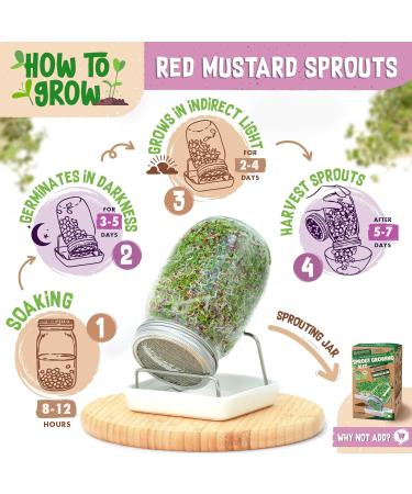 ZenGreens - Organic Red Mustard Seeds - Choose between 10g 200g and 500g - Red mustard seeds with a high g content - Buy Online on GoSupps.com