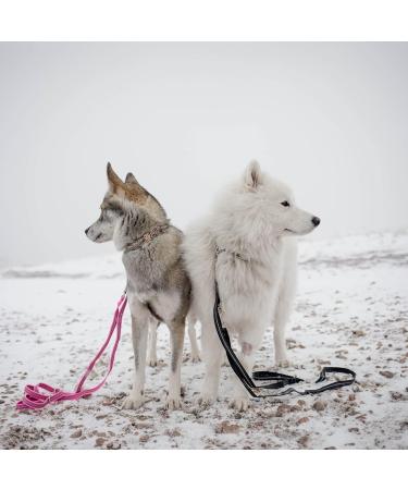 Rubberized Neon Yellow Leash without Hand Loop - 300 cm (3 m) | Durable & Stylish Dog Leash for International Shipping - Buy Online on GoSupps.com