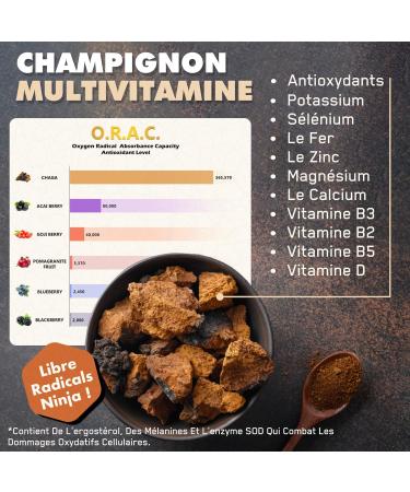 Solve Labs Premium Siberian Chaga Capsules 10% Beta-D-Glucans 10:1 Extract Zero Fillers & Additives 60 Capsules 1 Month Supply - Buy Online on GoSupps.com