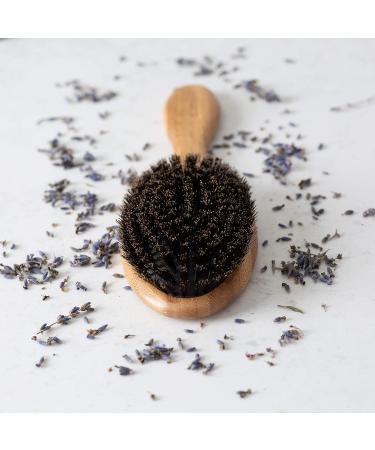 Boar Bristle Hair Brush Set for Thin and Normal Hair - Adds Shine and Texture - Wood Comb and Gift Bag Included - Buy Online on GoSupps.com