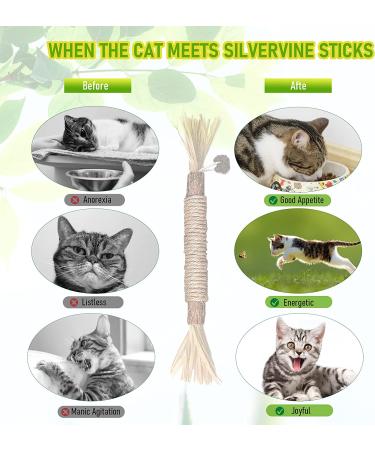 BAWAN Catnip & Silvervine Toys for Cats | Interactive Teething Chew Toys for Indoor Cats | Dental Toy for Aggressive Chewers | 3PCS - Buy Online on GoSupps.com