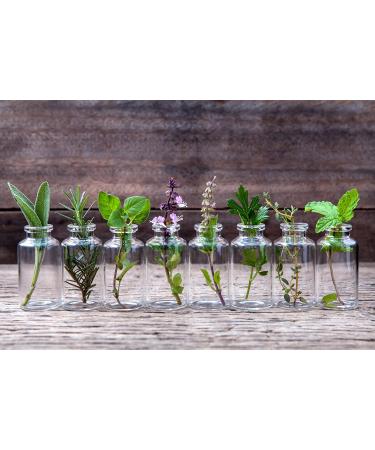 Goat Milk Soap - BOGUE No.19 Namaste Yoga Blend | Essential Oils of Holy Basil Eucalyptus Myrrh Ginger Vetiver & Patchouli | 2 Bars - International Shipping Available - Buy Online on GoSupps.com