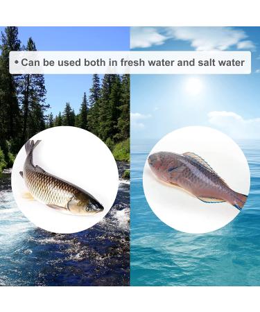 12V 120 LED Submersible Fishing Light for Night Fishing - Attract More Fish in Freshwater & Saltwater with 6M Power Cord - Buy Online on GoSupps.com