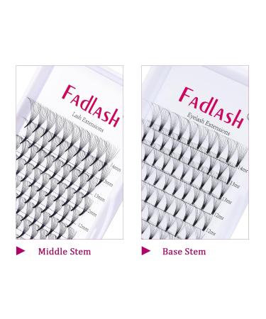 Premium 10D Volume Lash Extensions - Mixed Length 8-14mm D Curl Premade Russian Fans - Buy Online on GoSupps.com