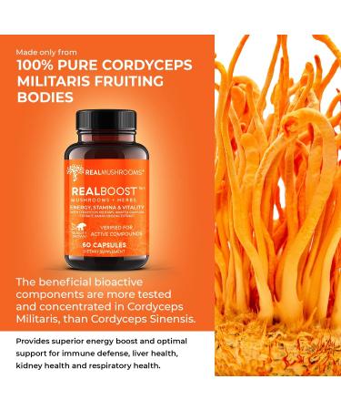 Real Mushrooms RealBoost (60ct) Lions Mane (120ct) & Cordyceps Mushroom Powder & Capsules Bundle - Mushroom Supplement for Energy Vitality Endurance & Cognition - Vegan Non-GMO - Buy Online on GoSupps.com