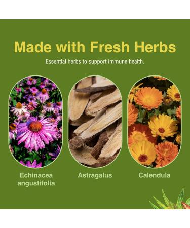 Herbs Etc. Immunoboost - Herbal Supplement for Immune System Support - Immune Health Support with Echinacea Angustifolia Astragalus & Calendula - Gluten-Free - 60 Softgels (60 Servings) - Buy Online on GoSupps.com