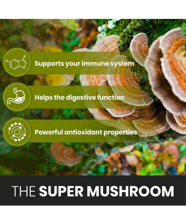 Zenavea Turkey Tail Mushroom Capsules 1000mg - Immune Support & Antioxidant - 120 Capsules Equivalent to 15,000mg - Organic Turkey Tail Supplement - Buy Online on GoSupps.com