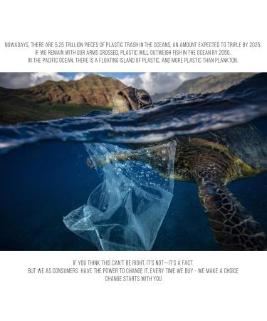 Eco-Friendly Safety Razor for Women | Sustainable Rose Gold Metal Shaver | Zero Waste Gift Ideas | Reusable Stainless Steel Double Edge Razor - Buy Online on GoSupps.com