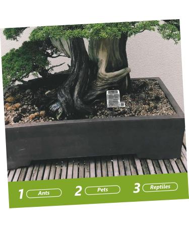 Kisangel 4pcs Pet Water Feeder Insect Water Bowl Ants Water Feeder Ants Habitat Water Feeding Plastic - Buy Online on GoSupps.com