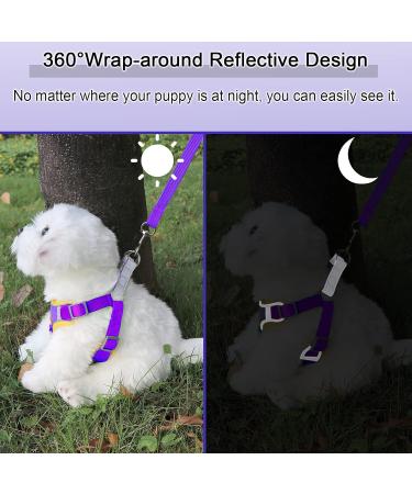 Rennaio No Pull Dog Harness & Leash Set - Adjustable Puppy Harness with 2 Linen Clips for Small & Medium Dogs - Ultra Comfortable - Purple XL - Buy Online on GoSupps.com