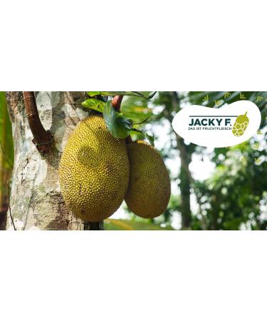 Buy Jacky F. Organic Young Jackfruit in Brine - 4 Pack (400g Cans) | International Shipping Available - Buy Online on GoSupps.com
