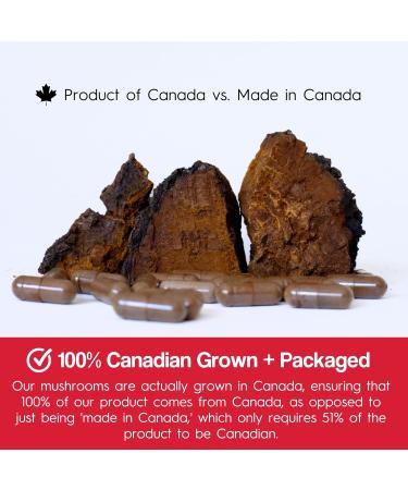 Stay Wyld Organics - Chaga Mushroom Supplement - 100% Canadian Mushroom Organic Chaga Capsules Supplements for Natural Cholesterol Level and Immune Support Non-GMO 90 Capsules Pouch - Buy Online on GoSupps.com