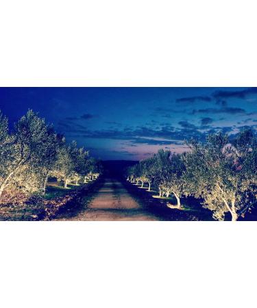 Extra virgin olive oil 500ml - Buy Online on GoSupps.com