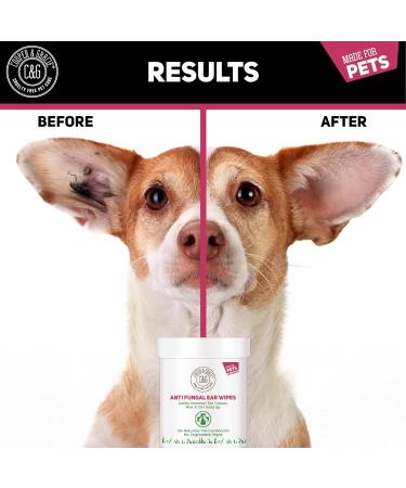 Biodegradable Anti-Fungal Ear Wipes for Dogs & Cats | 100 Soothing Cleaning Wipes | Gentle & Quick Solution for Ear Wax & Itchiness - Buy Online on GoSupps.com