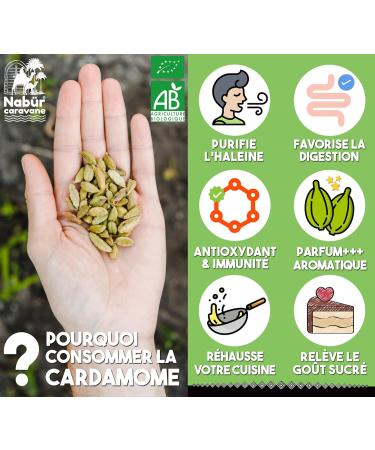 100 gr Cardamome en Gousse BIO Cardamome Enti re Puissant Riche Caf Chai Masala - NAB R - Buy Online on GoSupps.com