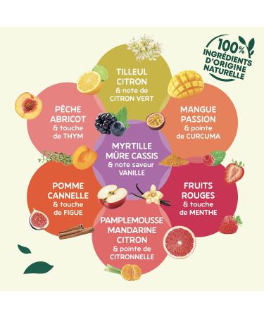 Elephant Flavored Infusion Red Fruit & Mint Flavor Rainforest Alliance Certified 100% Natural Origin Ingredients 20 Pyr - Buy Online on GoSupps.com