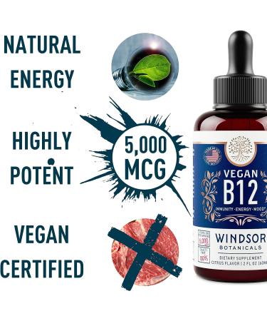 Max Strength Vegan Vitamin B12 Liquid - 5000 mcg Methylcobalamin Supplement - Citrus Flavor Sublingual Drops for Mood and Energy - 2oz - Buy Online on GoSupps.com
