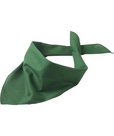 Schnoschi Personalized Green Dog Scarf - Custom Embroidered Pet Accessory - Buy Online on GoSupps.com