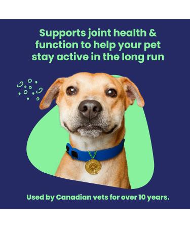 Vetoquinol Flexadin Advanced (with boswellia) Dog Joint Supplement One Unit a Day for Dogs 30 Chews - Buy Online on GoSupps.com