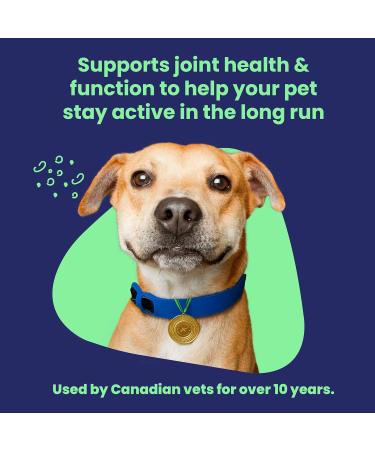 Vetoquinol Flexadin Advanced (with boswellia) Dog Joint Supplement One Unit a Day for Dogs 60 Chews - Buy Online on GoSupps.com