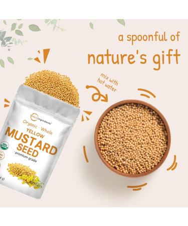 Organic Whole Yellow Mustard Seeds 4 lb (64 oz) | Premium Grade Seeds | Mild & Raw Mustard Flavor | Great for Pickling Spice Blends & Seasoning | Non-GMO Bulk Supply - Buy Online on GoSupps.com