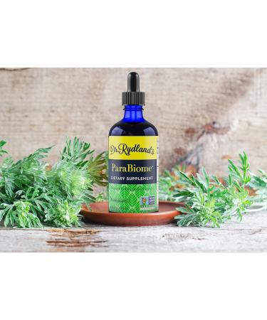 Dr. Rydland's Herbal Supplement | Created by KidsWellness Effective on Adults & Children | ParaBiome Advanced Cleanse and Digestive Support | Made with Black Walnut Clove Wormwood | 4 Ounce Bottle - Buy Online on GoSupps.com