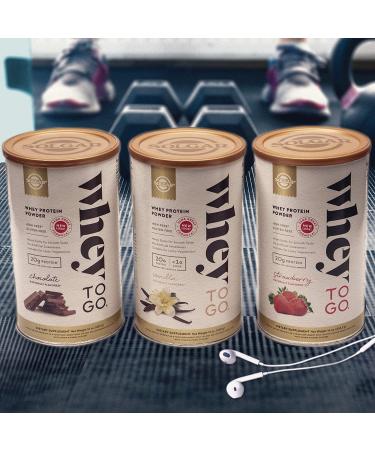 Solgar Whey Protein Powder Vanilla 33 oz - High-Quality Protein Supplement - Buy Online on GoSupps.com