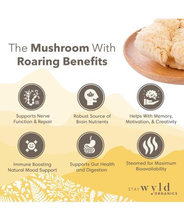 Stay Wyld Lion s Mane Mushroom Powder - Natural Memory Brain & Mood Support - Mushroom Supplement For Focus & Clarity- Organic & North American Grown - Non-GMO Vegan - 100 g Lion's Mane - Powder - Buy Online on GoSupps.com