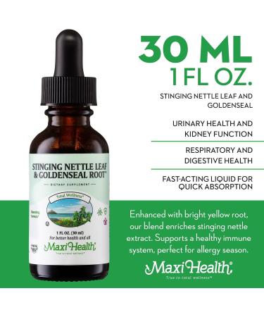 Maxi Health Stinging Nettle Leaf and Goldenseal Root Blend - Alcohol Free Tincture with Organic Nettle Leaf (Urtica Dioica) - Urinary Health Kidney Support - Nettle Extract Liquid Drops 1 fl Ounce - Buy Online on GoSupps.com