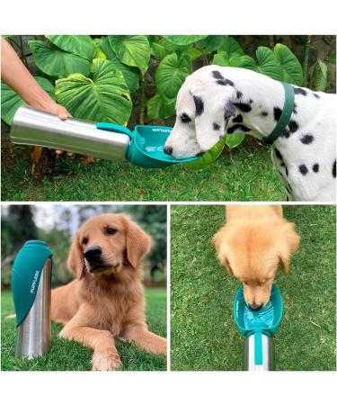 Puflask Large Dog Water Bottle - 800/1200 ml Stainless Steel | Portable & Leak Proof Pet Dispenser | Ideal Travel Bowl for All Breeds - Quetzal Green 40 Oz - Buy Online on GoSupps.com