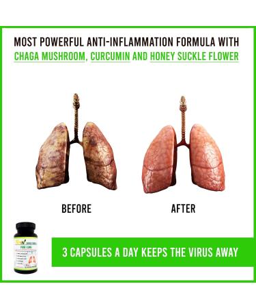 Top Lung Cleanse and Detox | Herbal Respiratory Supplement for Lung Support with Chaga Mushroom Curcumin Turmeric Honeysuckle Flower Astragalus Quercetin Pomegranate - Buy Online on GoSupps.com