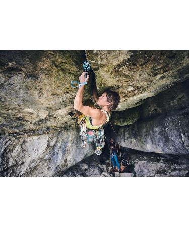 Buy Wild Country FRIEND 4 Silver Belay Device - Top-Rated Climbing Gear for Secure Protection | International Shipping Available - Buy Online on GoSupps.com