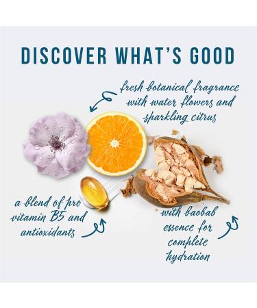 Pantene Sulfate Free Shampoo and Conditioner Set with Baobab Essence Nutrient Blends Hydrating Glow (522 mL Total) Shampoo and Conditioner Set 522 ml (Pack of 1) - Buy Online on GoSupps.com