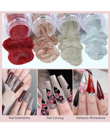 Saviland Acrylic Powder Set - 10 Glitter Colors for Professional Nail Extensions - Prom Queen Red Brown Series - DIY Christmas Gift - Buy Online on GoSupps.com