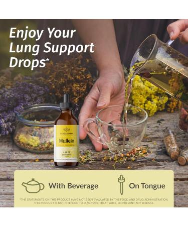 HERBAMAMA Herbal Liquid Drops Kit - Bundle of Black Elderberry Extract and Mullein Leaf Tincture 4 fl oz - Vegan Non-GMO Sugar & Alcohol-Free - 2 Pack - Buy Online on GoSupps.com