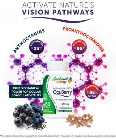 OcuBerry - Bilberry Grape Seed Black Currant & Black Rice Extracts - Antioxidant & Vascular Support - Vision Retina & Blue Light Protection - No Fillers Excipients - 60 Vegan Capsules Supplement - Buy Online on GoSupps.com