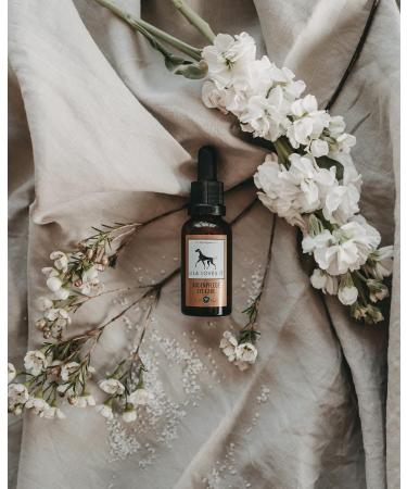 Eye Care for Dogs - Gentle Cleaning & Moisture | Lila Loves It 30ml - Calm & Refreshing Solution - Buy Online on GoSupps.com