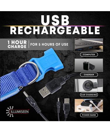 Illumiseen LED Dog Collar USB Rechargeable - Neon Green Large (L) 19-24 - High Visibility Light for Night Walking - Buy Online on GoSupps.com