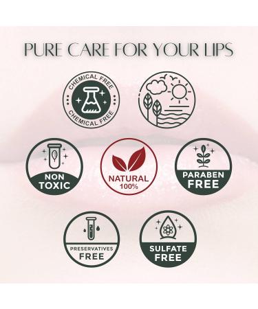 Caramel Apple Natural Lip Balm Moisturizing Lip Care Stick with Shea Butter & Vitamin E Plant-Based Tint-Free Lip Balm Suitable for All Ages - Pack of 3 Caramel Apple 1 Count (Pack of 3) - Buy Online on GoSupps.com