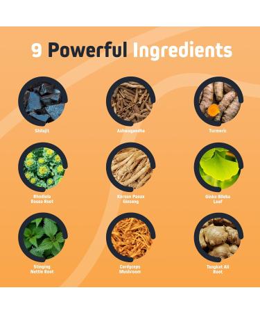 Herbtonics Shilajit for Men & Women with Ashwagandha Korean Red Ginseng Rhodiola Rosea Ginkgo Biloba Tongkat Ali | Fulvic Acid & Trace Minerals for Stamina & Immunity | 60 Vegan Capsules - Buy Online on GoSupps.com