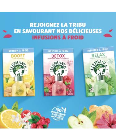 Elephant Infusion Froid Go t Citron et Gingembre Boost Ingr dients d'Origine 100% Naturelle Boisson d'Et Rafraichissante 15 Sachets Pyramid Citron et Gingembre 15 Sachets (Pack of 1) - Buy Online on GoSupps.com