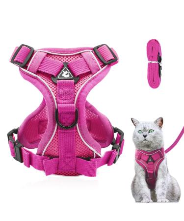 Adjustable cat dishes breakout cat dishes with a line set software for cat breasts for cats kitten dogs puppies (pink -m) ... m pink - Buy Online on GoSupps.com