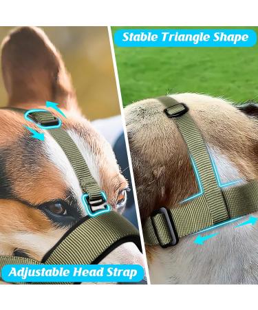 Buy Heele Dog Muzzle with Head Belt - Safe Comfortable & Adjustable | International Shipping Available - Buy Online on GoSupps.com