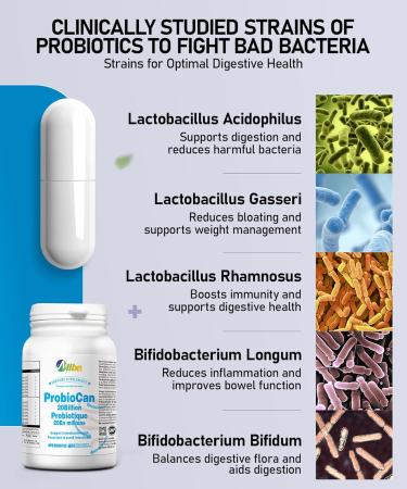 Probiocan    , 7 Strains of Probiotic for Women, 4 Packs of 60 Capsules (240 Days Supply) 240 Count (Pack of 1) 20 Billion Cfu - Buy Online on GoSupps.com